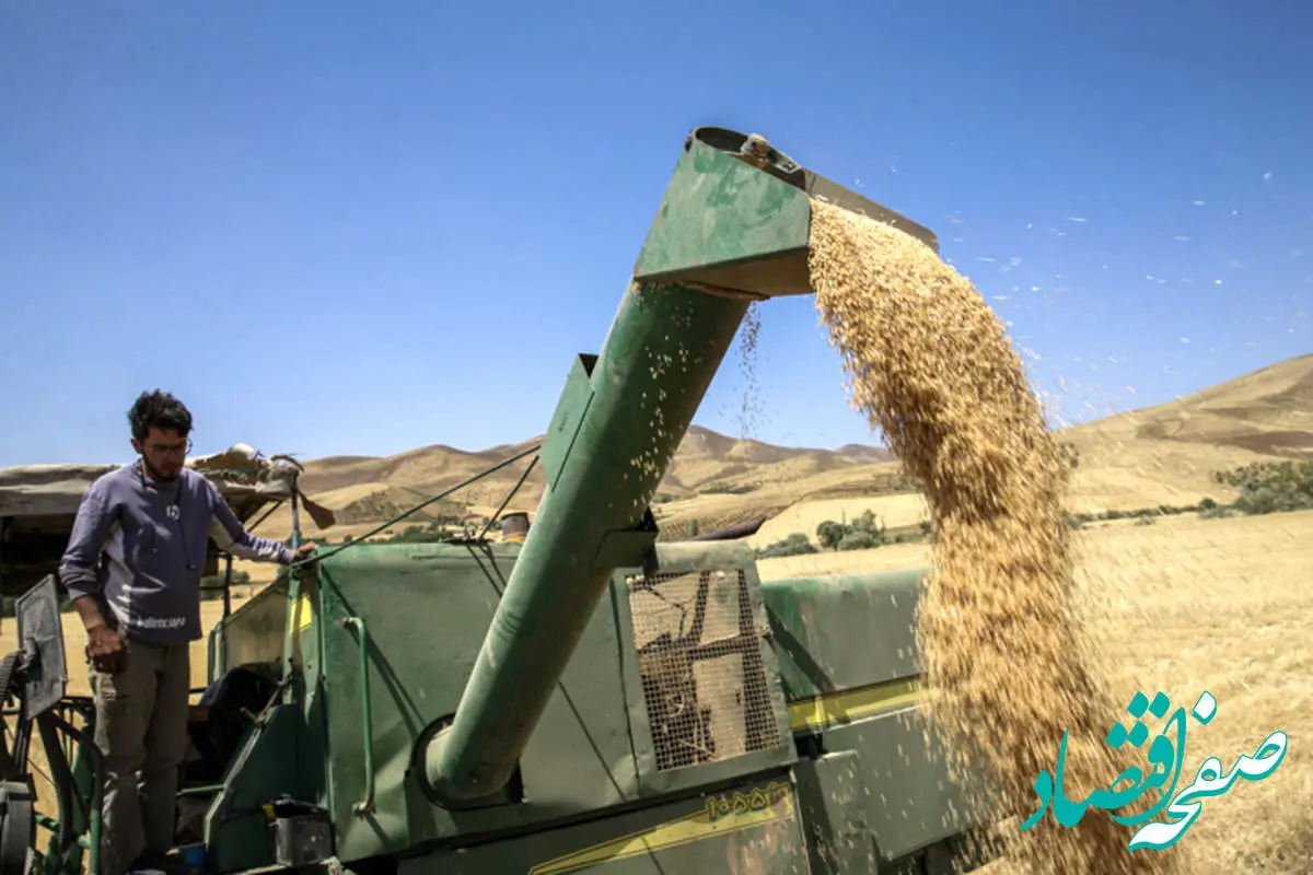 آخرین خبر از پرداخت مطالبات گندمکاران امروز یکشنبه ۱۹ مرداد ماه ۱۴۰۴ | چه خبر از خرید تضمینی گندم؟