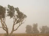 باد شدید زابل چند کیلومتر سرعت داشت؟