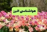 هواشناسی البرز ۲۴ ساعت آینده | پیش بینی وضعیت آب و هوا البرز فردا سه شنبه تیر ماه ۱۴۰۴ + هواشناسی کرج