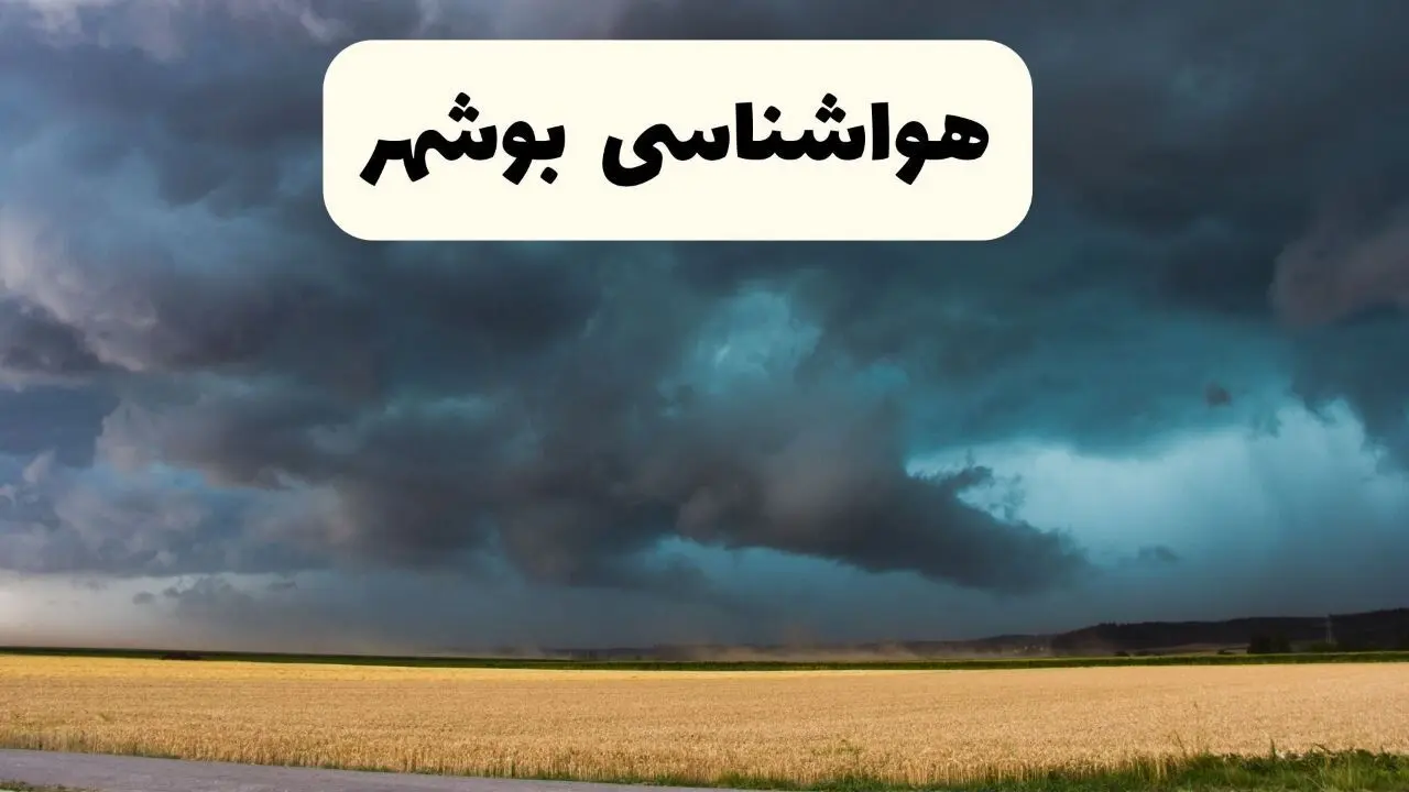 پیش‌ بینی وضعیت آب و هوا بوشهر فردا پنجشنبه ۶ فروردین ماه ۱۴۰۵ + پیش بینی هواشناسی بوشهر ۲۴ ساعت آینده + آب و هوای بوشهر