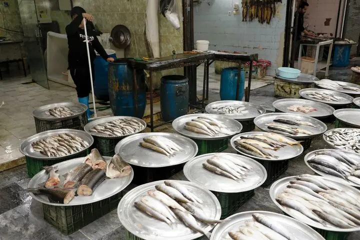 قیمت ماهی امروز دوشنبه ۱۴ اسفند ماه ۱۴۰۲ + قیمت ماهی بدون استخوان