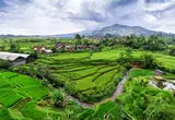 حسین شنوایی: روستاهای تولیدمحور در خط مقدم امنیت غذایی و پایداری ملی قرار دارند