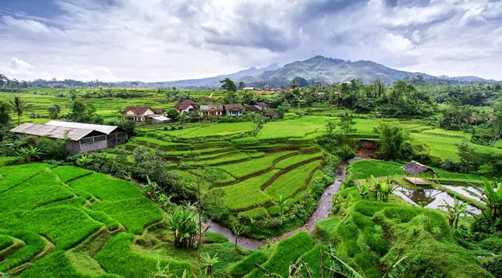 حسین شنوایی: روستاهای تولیدمحور در خط مقدم امنیت غذایی و پایداری ملی قرار دارند