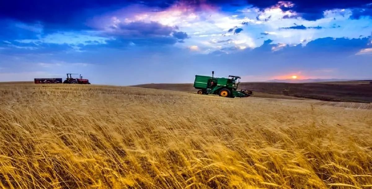 ضرورت تصویب قوانین جدید برای حمایت از کشاورزان