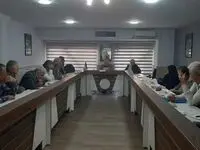 مشکلات بازنشستگان و بیمه تکمیلی؛ گره اصلی در استیضاح وزیر کار