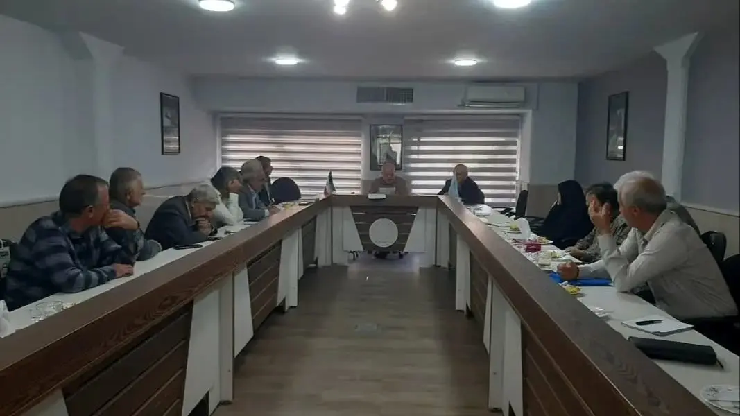 مشکلات بازنشستگان و بیمه تکمیلی؛ گره اصلی در استیضاح وزیر کار