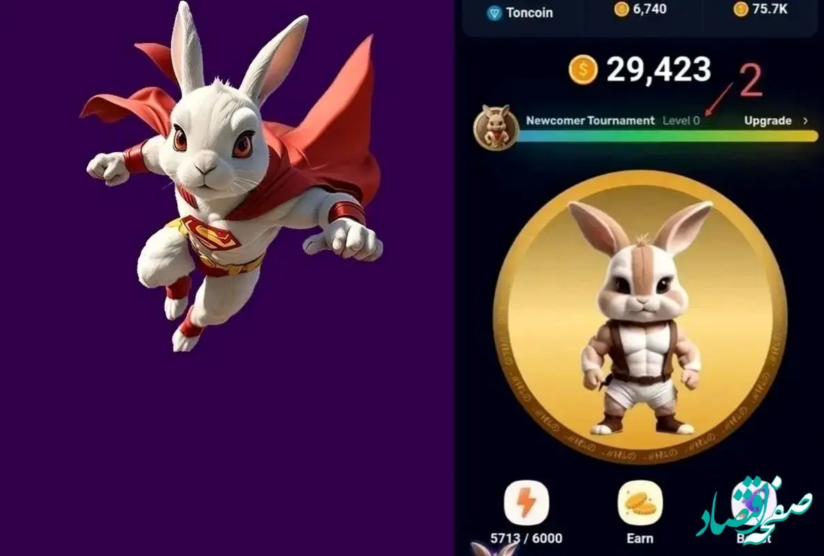 کارت های روزانه بازی راکی رابیت پنجشنبه ۲۲ شهریور ۱۴۰۳