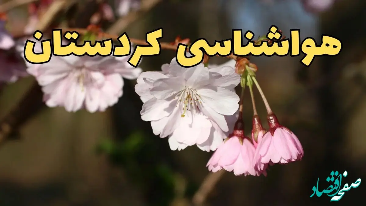 پیش بینی هواشناسی سنندج ۲۴ ساعت آینده | وضعیت آب و هوا کردستان فردا سه شنبه ۱۲ فروردین ماه ۱۴۰۴ | آب و هوای سنندج در روز ۱۳ بدر + هواشناسی کردستان