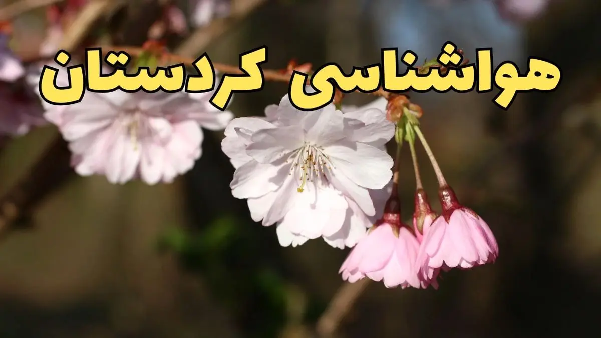 پیش بینی هواشناسی سنندج ۲۴ ساعت آینده | وضعیت آب و هوا کردستان فردا سه شنبه ۱۲ فروردین ماه ۱۴۰۴ | آب و هوای سنندج در روز ۱۳ بدر + هواشناسی کردستان