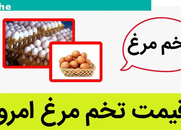 جدیدترین قیمت تخم مرغ امروز یکشنبه ۲۰ اردیبهشت ماه ۱۴۰۵ چقدر شد؟ 