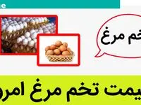 تخم مرغ چند؟/جدیدترین قیمت تخم مرغ امروز سه‌شنبه ۳۰ بهمن ۱۴۰۳ در بازار