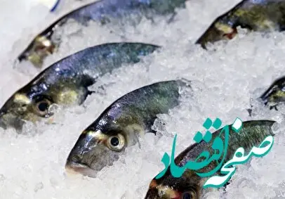 تازه‌ترین نرخ‌ها از بازار ماهی/آخرین قیمت روز انواع ماهی امروز  یکشنبه ۲۶ اسفند ۱۴۰۳