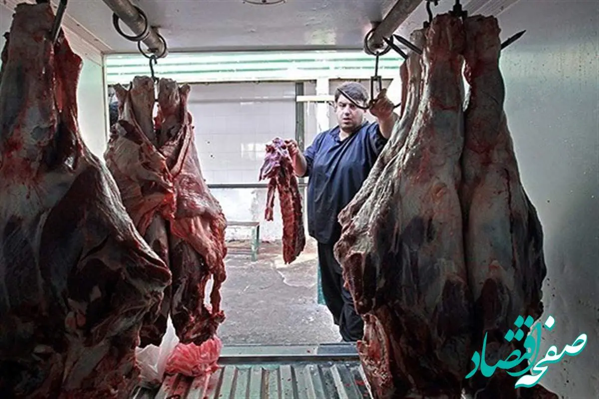 گوشت گوسفندی تنظیم بازاری با قیمت ۲۸۲ و ۳۱۶ هزار تومان توزیع شد