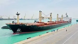 سیاست تازه در واردات؛ پتروشیمی و پلیمر از راه کولبری وارد می‌شوند