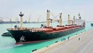 سیاست تازه در واردات؛ پتروشیمی و پلیمر از راه کولبری وارد می‌شوند