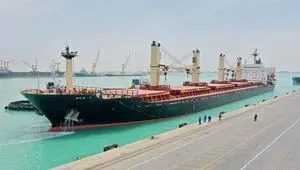 سیاست تازه در واردات؛ پتروشیمی و پلیمر از راه کولبری وارد می‌شوند