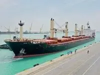 سیاست تازه در واردات؛ پتروشیمی و پلیمر از راه کولبری وارد می‌شوند