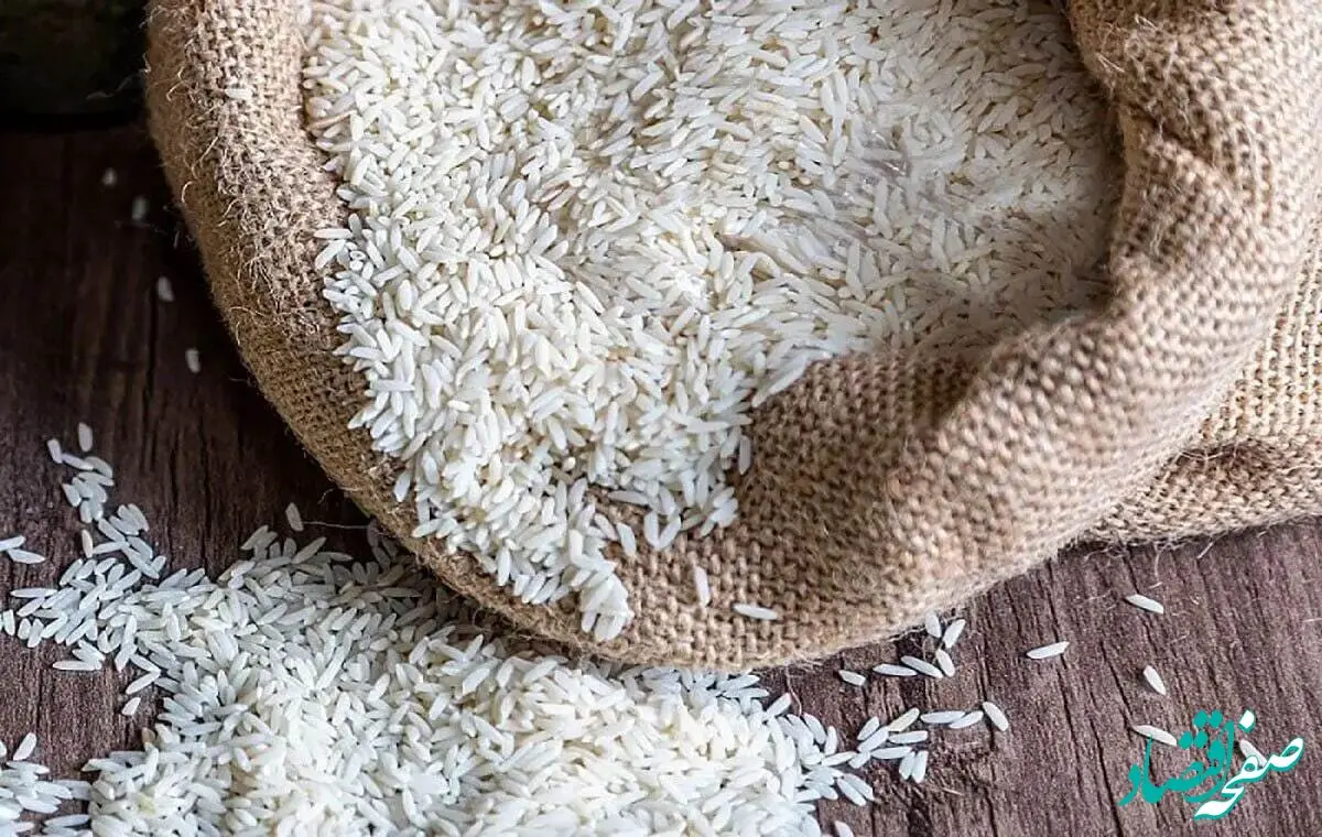 برنج پاکستانی گران شد؛ موج جدید گرانی در بازار