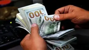 آیا دولت توان کنترل قیمت دلار را دارد؟