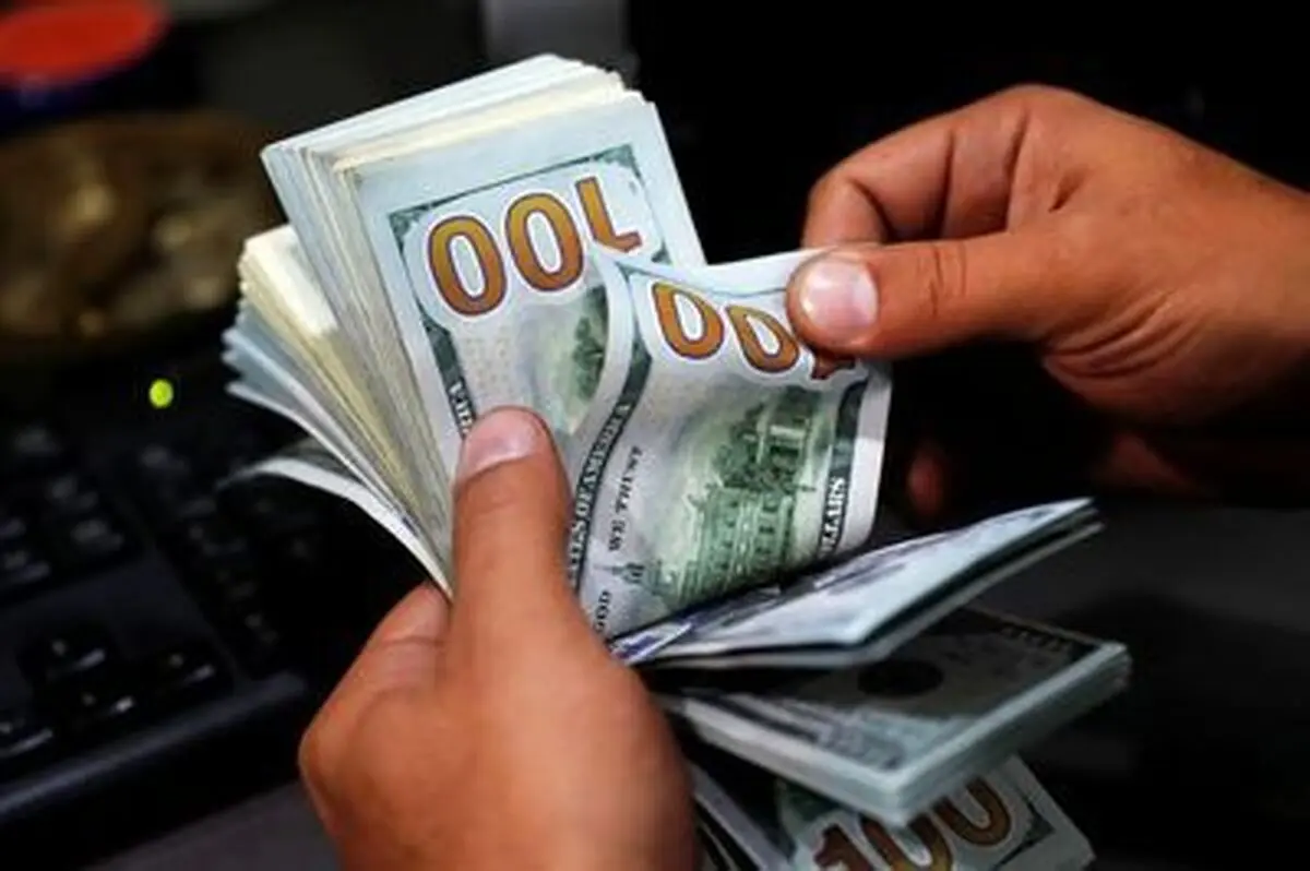 آیا دولت توان کنترل قیمت دلار را دارد؟