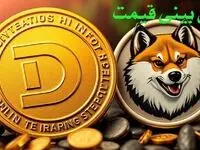 قیمت دوج کوین ۸ بهمن ماه ۱۴۰۳ + پیش بینی قیمت دوج کوین در بازار ارزهای دیجیتال