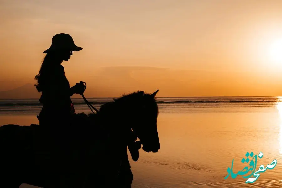 لوازم سوارکاری | تخصصی ترین لوازم سوارکاری و باشگاه های اسب سواری