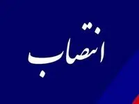 مدیرعامل جدید شرکت مادرتخصصی برق حرارتی کیست؟ | چه کسی مدیر شد؟ 