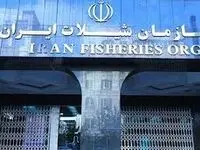 سازمان شیلات باتلاق فساد؟