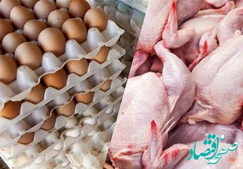 مصرف مرغ ۲۰ درصد کم شد | علت چیست؟ 