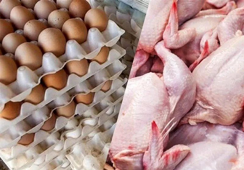 مصرف مرغ ۲۰ درصد کم شد | علت چیست؟ 