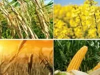 قیمت خرید تضمینی محصولات کشاورزی چه زمانی اعلام می شود ؟ 
