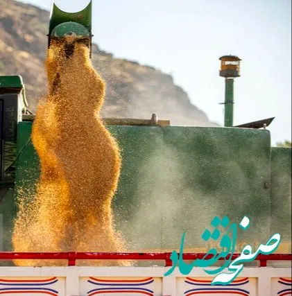 آخرین خبر از پرداخت مطالبات گندم کاران خراسان جنوبی + جزئیات جدید