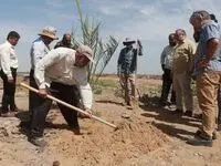 آغاز فاز سوم پایلوت طرح احیای اراضی مینوشهر