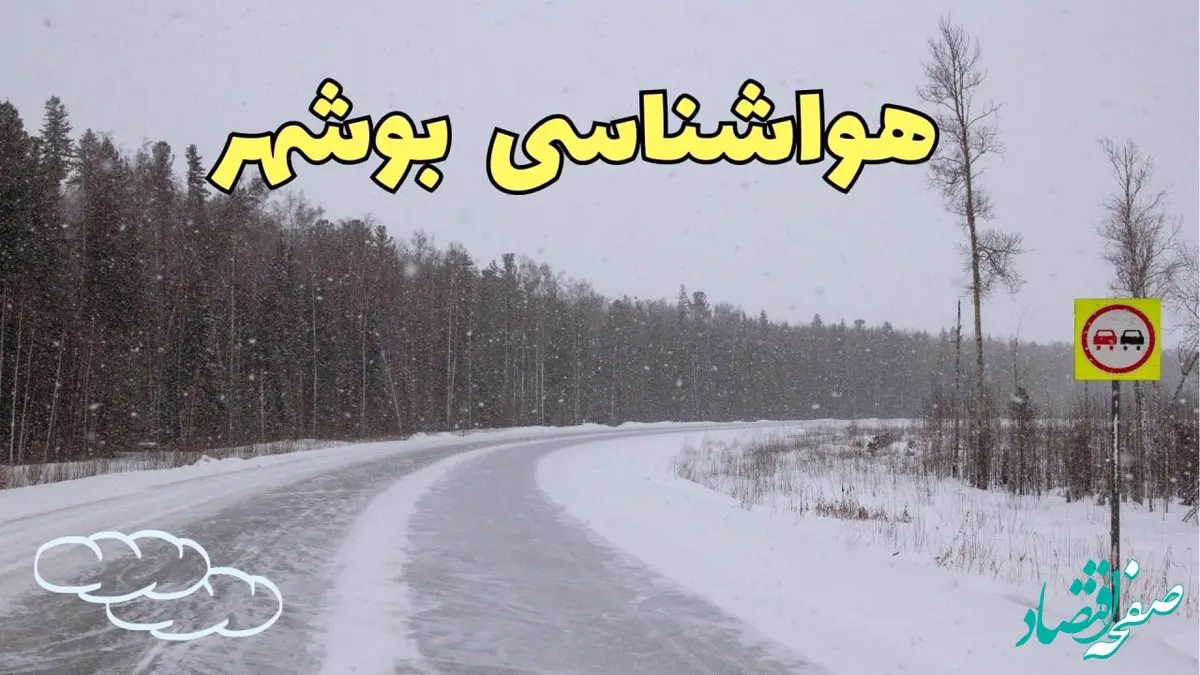 وضعیت آب و هوا بوشهر فردا ۶ اسفند ماه ۱۴۰۳ | پیش بینی هواشناسی بوشهر فردا دوشنبه ۶ اسفند