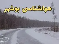 وضعیت آب و هوا بوشهر فردا ۶ اسفند ماه ۱۴۰۳ | پیش بینی هواشناسی بوشهر فردا دوشنبه ۶ اسفند