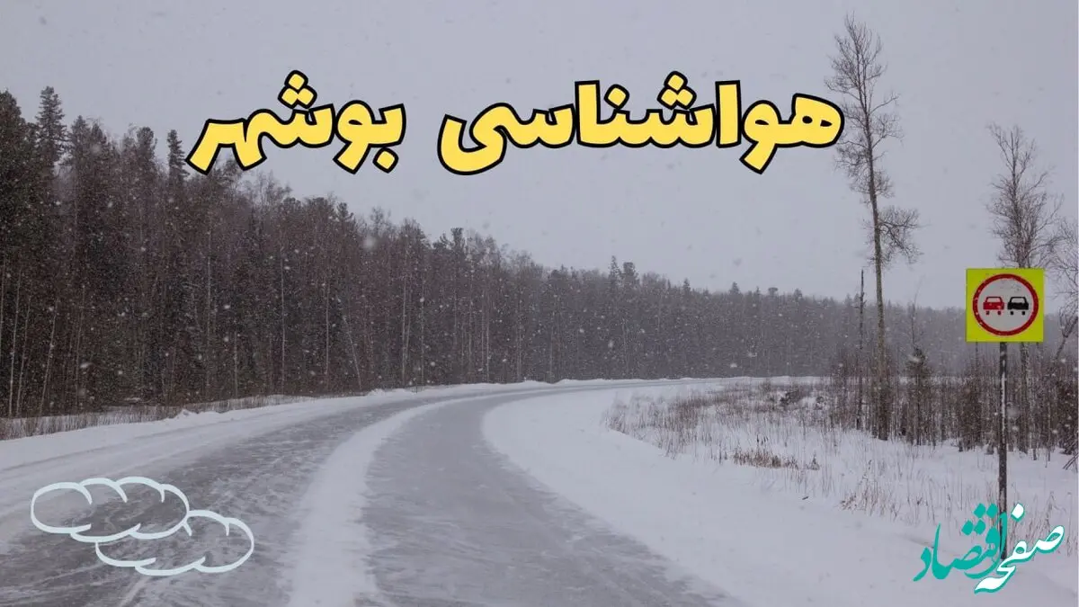 پیش بینی هواشناسی بوشهر فردا ۲۷ بهمن | پیش بینی وضعیت آب و هوا بوشهر فردا شنبه ۲۷ بهمن ماه ۱۴۰۳