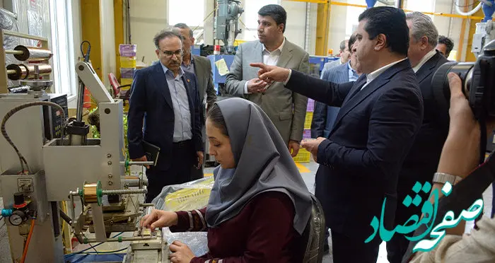 بازدید مدیرعامل و مدیران ارشد بانک توسعه صادرات ایران از شرکت صادر‌کننده نمونه کشوری