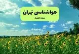 پیش بینی وضعیت آب و هوا تهران فردا پنجشنبه ۱۳ شهریور ماه ۱۴۰۴ | هواشناسی تهران ۲۴ ساعت آینده + جدول هواشناسی تهران