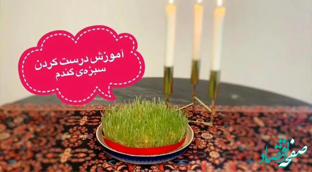 سبزه گندم چند روزه سبز میشه ؟ کاشت سبزه گندم مرحله به مرحله