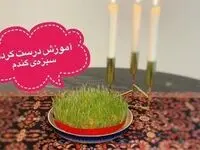 سبزه گندم چند روزه سبز میشه ؟ کاشت سبزه گندم مرحله به مرحله