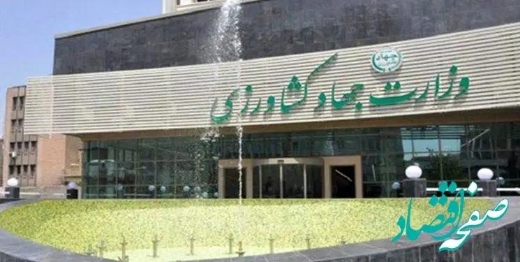 واکنش وزارت جهاد کشاورزی به خبر افزایش قیمت بادمجان در دولت رئیسی