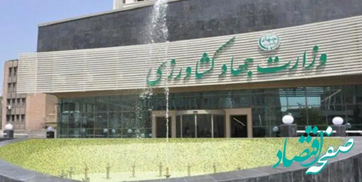 واکنش وزارت جهاد کشاورزی به خبر افزایش قیمت بادمجان در دولت رئیسی