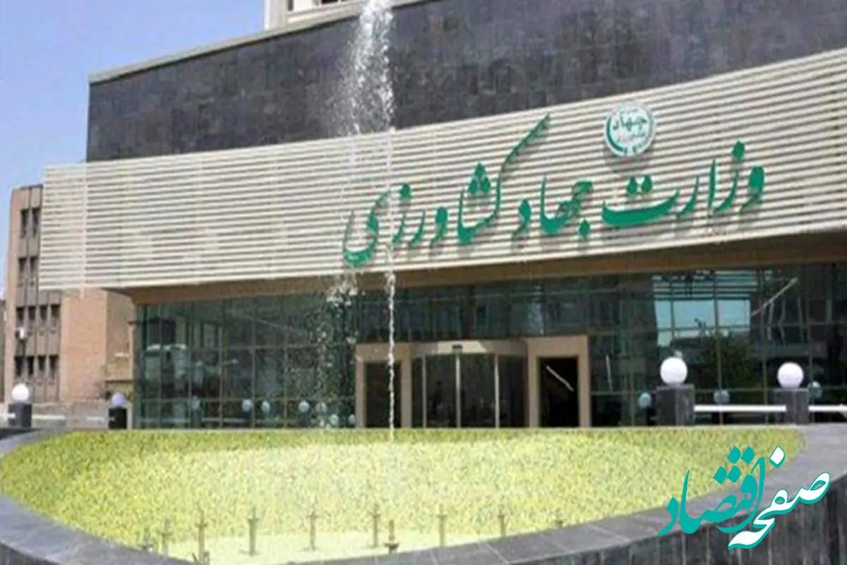 واکنش وزارت جهاد کشاورزی به خبر افزایش قیمت بادمجان در دولت رئیسی