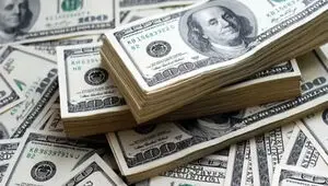 یکی از سرکردگان شبکه تراستی دستگیر شد