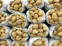جزئیات دستور جدید برای تنظیم بازار سیب‌ زمینی