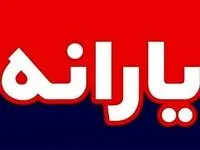 ماجرای جنجالی یارانه ۳ میلیونی در دولت مسعود پزشکیان چیست؟ 