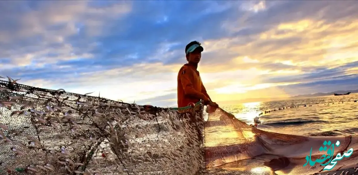 از چالش تامین اجتماعی در کشورهای جزیره‌ای تا کار سخت تا پای جان و ضربه به محیط زیست