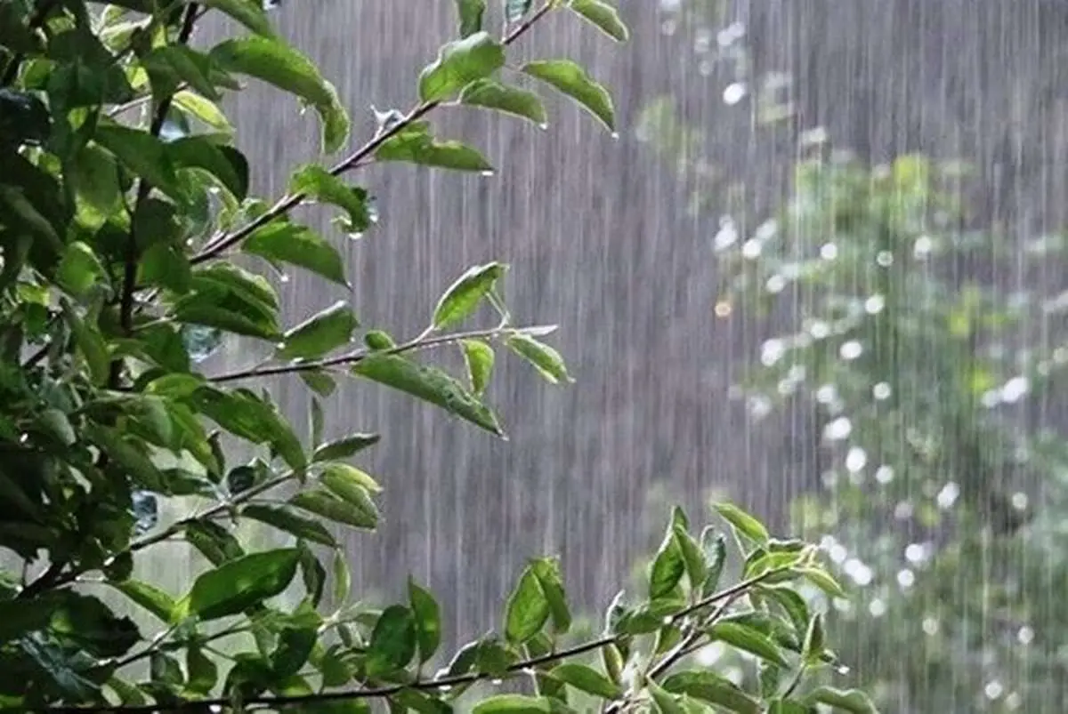وضعیت آب و هوا آذربایجان‌ شرقی فردا چهارشنبه ۱۵ شهریور ماه ۱۴٠۲ 