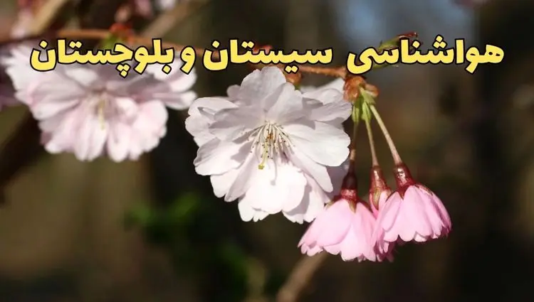 پیش بینی وضعیت آب و هوا سیستان و بلوچستان فردا یکشنبه ۹ فروردین ماه ۱۴۰۵ + هواشناسی زاهدان ۲۴ ساعت آینده + وضعیت هوای فردا زاهدان