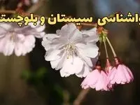 پیش بینی وضعیت آب و هوا سیستان و بلوچستان فردا یکشنبه ۱۷ فروردین ماه ۱۴۰۴ | پیش بینی هواشناسی سیستان و بلوچستان ۲۴ ساعت آینده | هواشناسی زاهدان + آب و هوای زاهدان